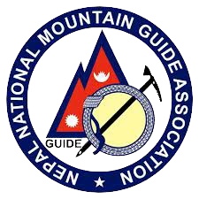 logo-nmmga